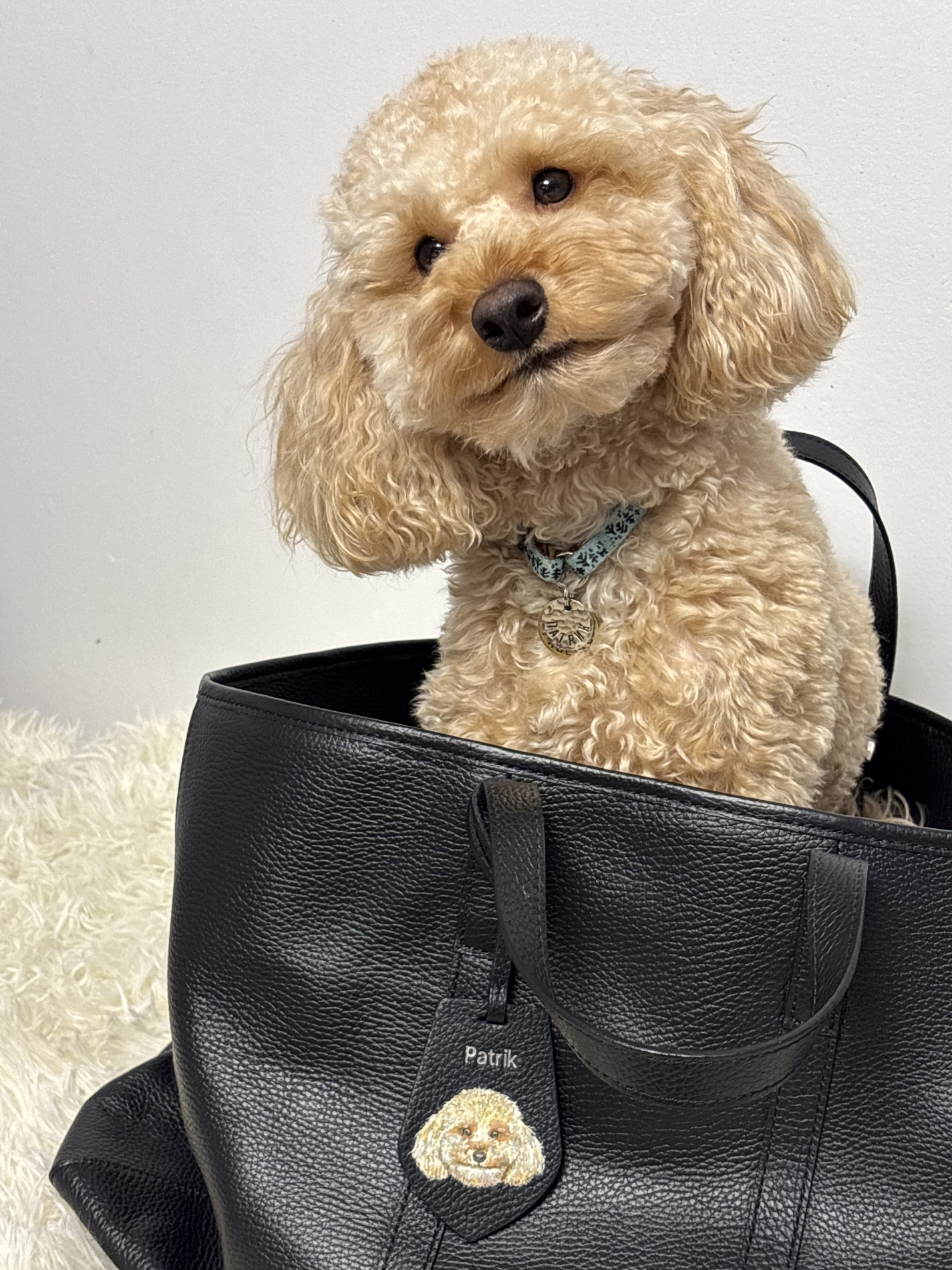 Тег для персонализации и портрета питомца черного цвета